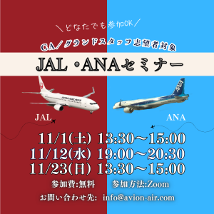 AVION エアラインスクール