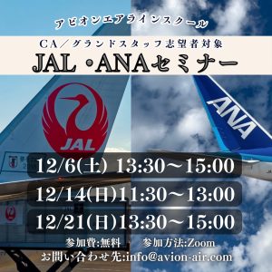 AVION エアラインスクール