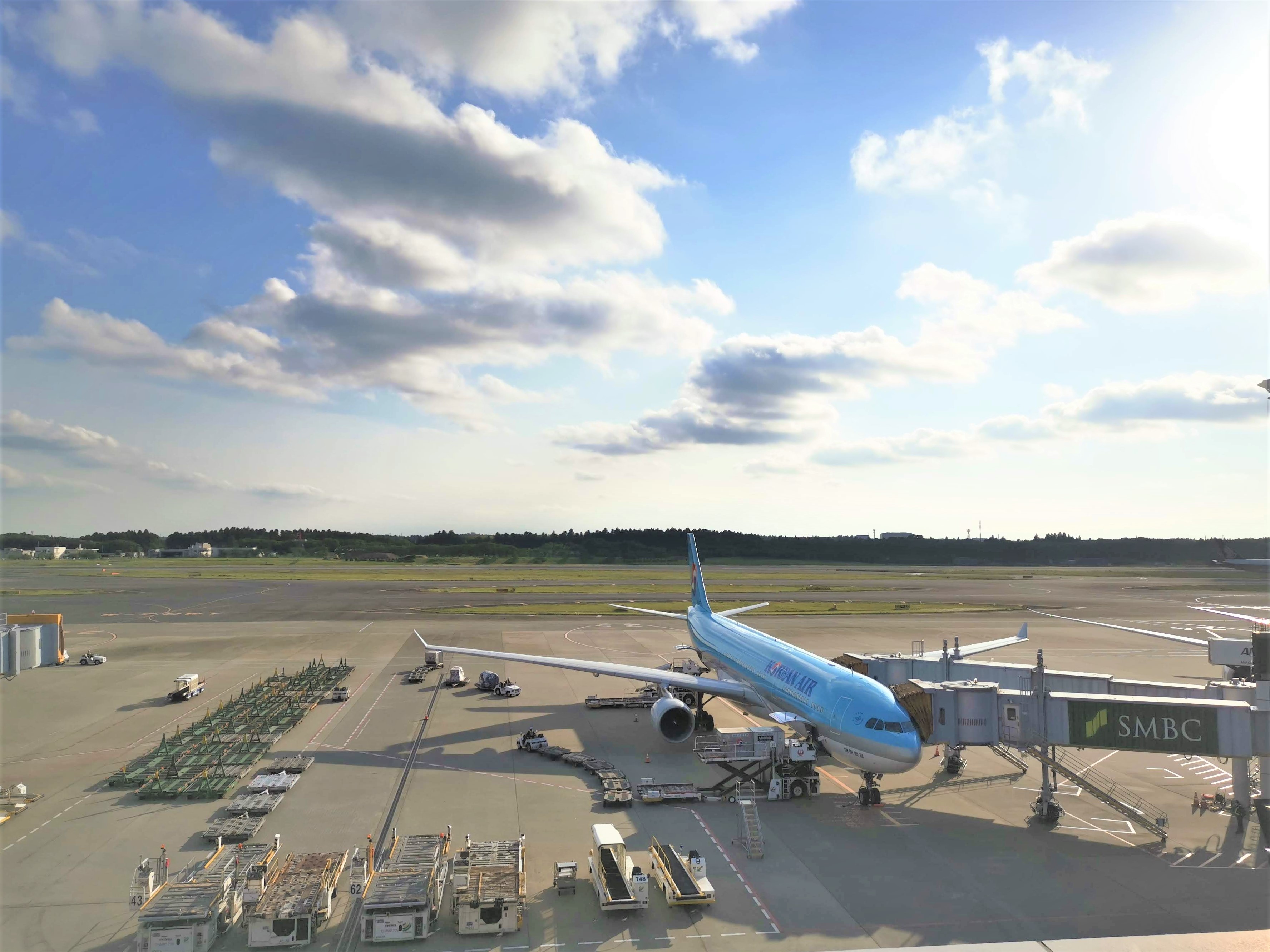 採用情報 進行状況 情報量no 1 キャビンアテンダント就職 転職 求人情報サイト Crewnet